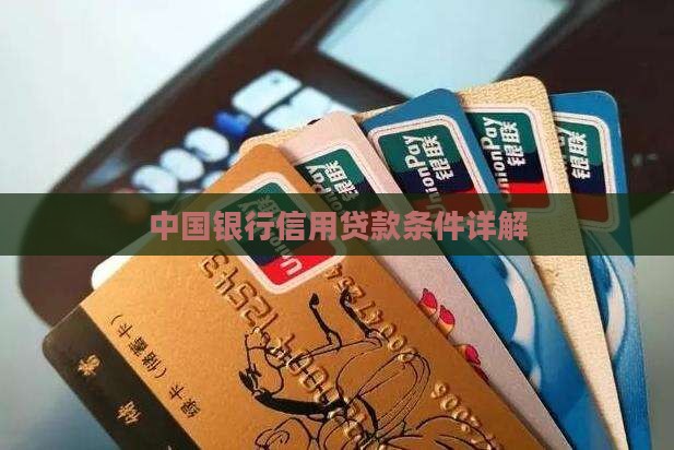 中行纯信用贷款条件