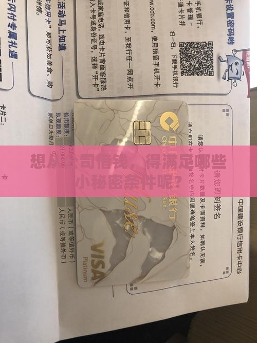 向公司贷款需要什么条件