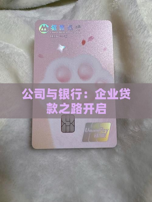 公司开始向银行贷款了