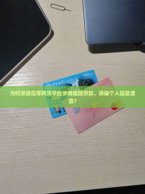 假冒贷款平台要个人信息