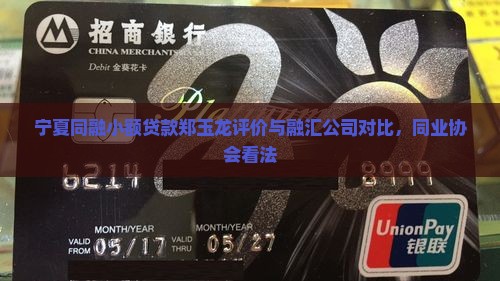 宁夏同融小额贷款