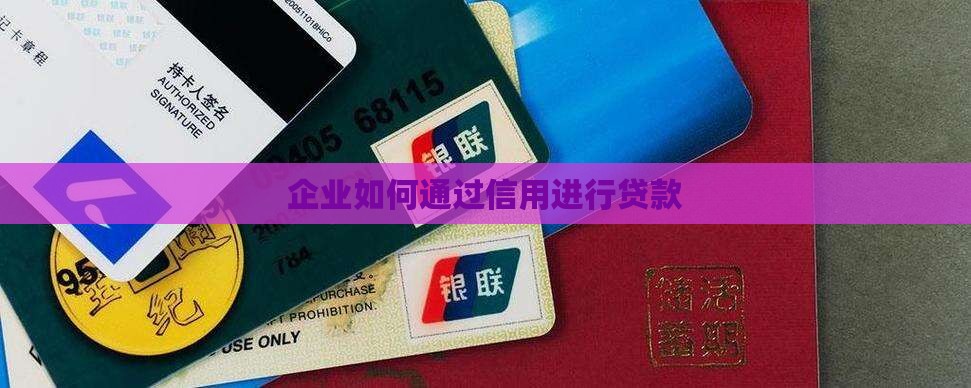 单位怎么样进行信用贷款