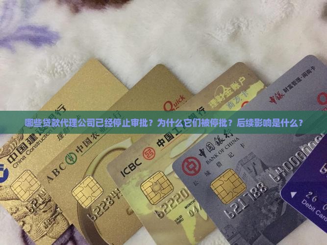 已停批的贷款代理公司