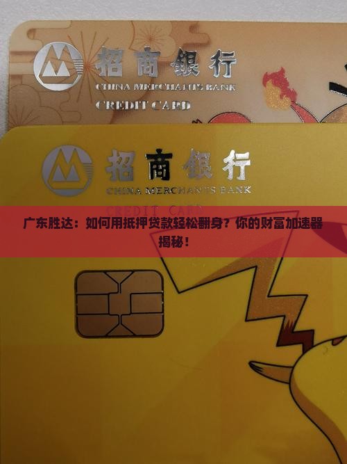 广东胜达抵押贷款公司
