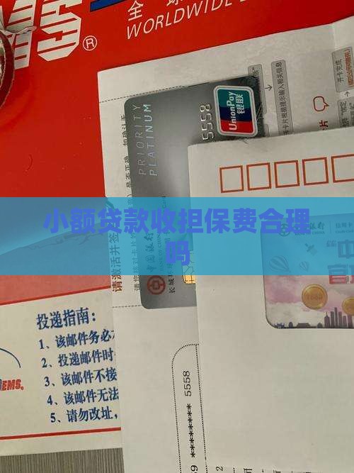 小额贷款收担保费合理吗