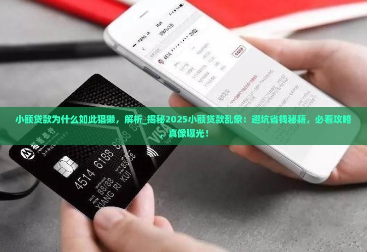 小额贷款为什么如此猖獗