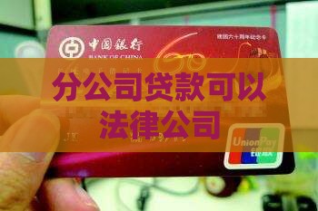 关于分公司贷款的法规