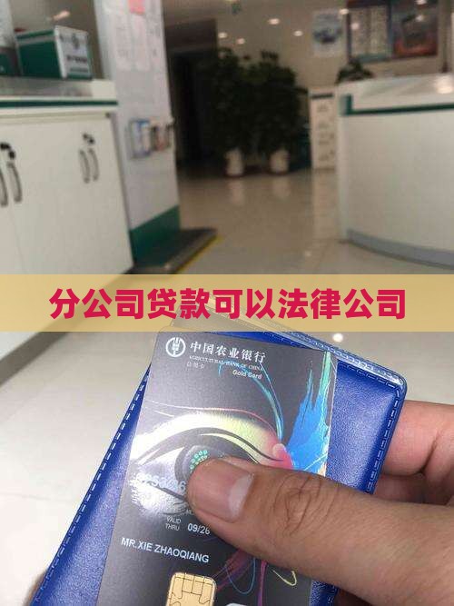 关于分公司贷款的法规