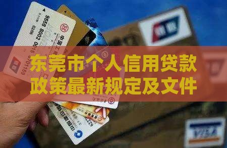 东莞市个人信用贷款政策