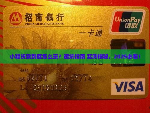 小额贷款事情经过