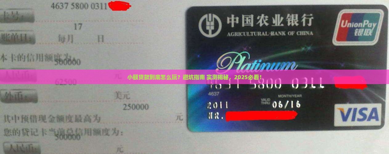 小额贷款事情经过