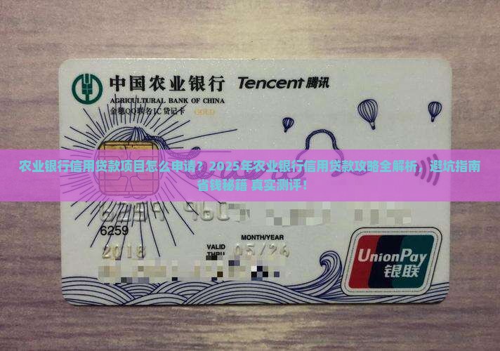 农业银行信用贷款项目