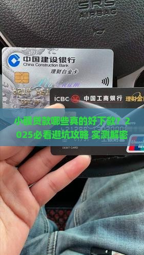 小额贷款有哪些好下款