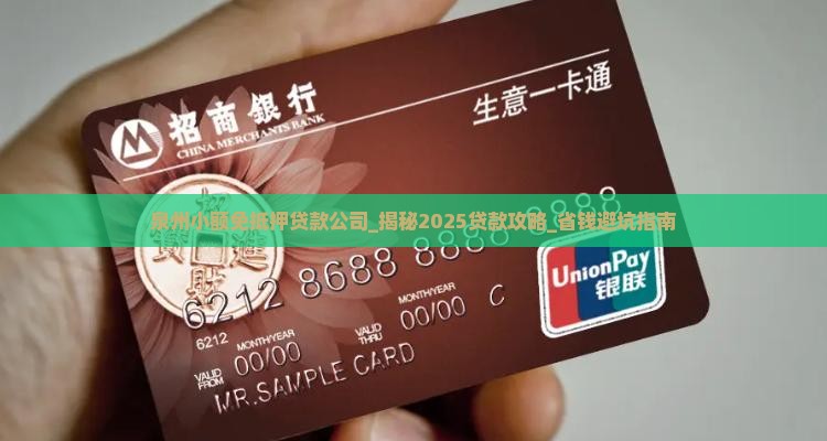 泉州小额免抵押贷款公司
