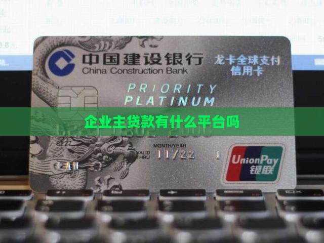 企业主贷款有什么平台吗