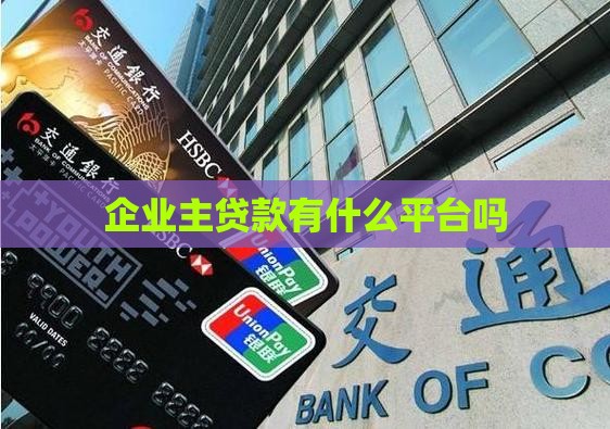 企业主贷款有什么平台吗
