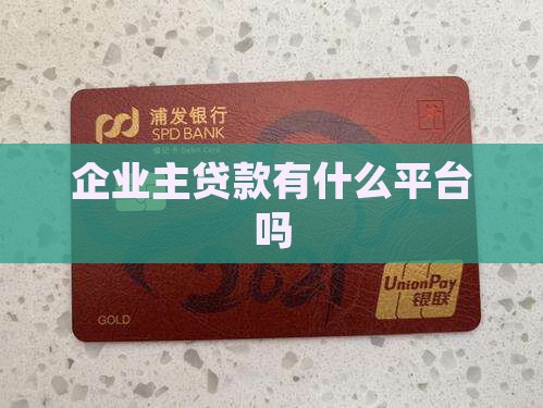 企业主贷款有什么平台吗
