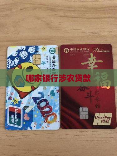 哪家银行涉农贷款