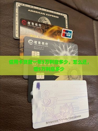 信用卡贷款一年5万