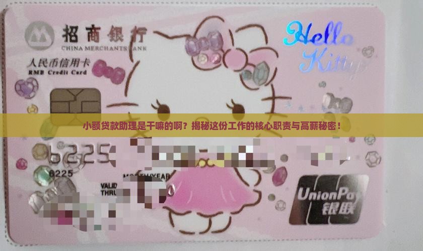 小额贷款助理是干嘛的啊