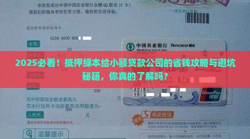 抵押绿本给小额贷款公司