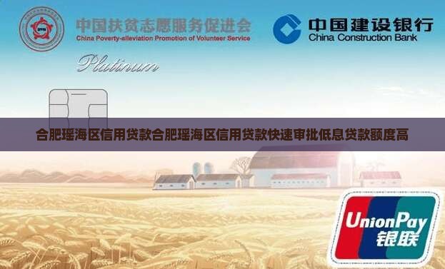合肥瑶海区信用贷款