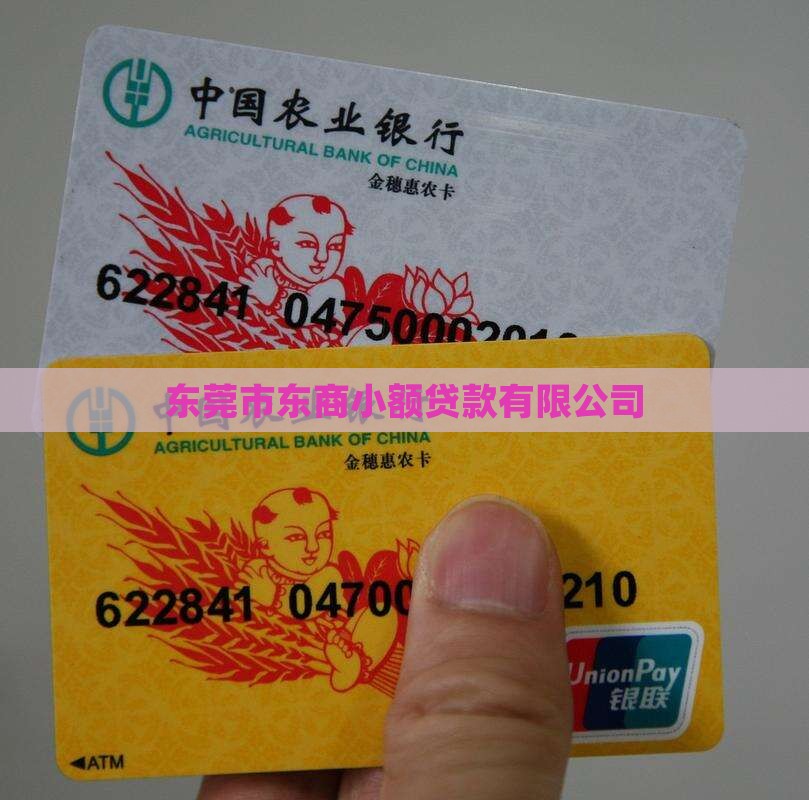 广东东商小额贷款