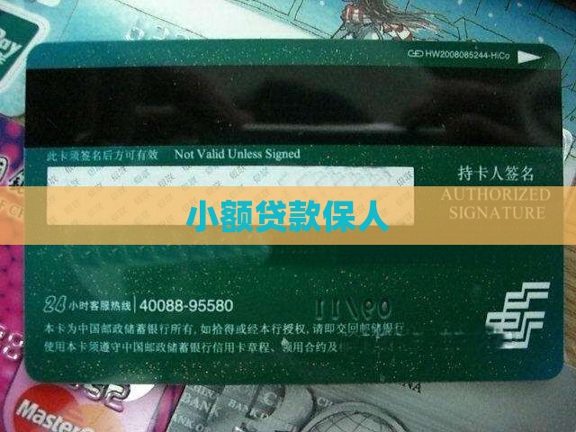 小额贷款保人