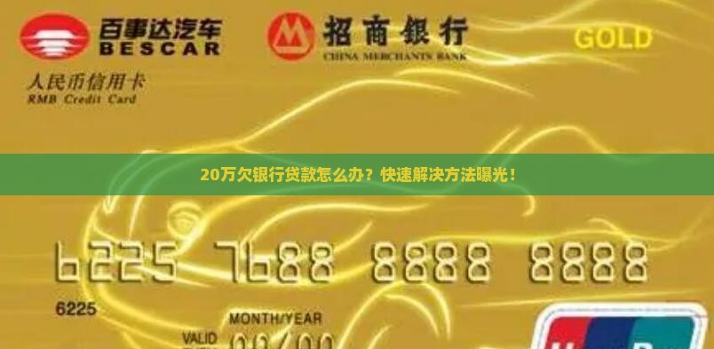20万欠银行贷款