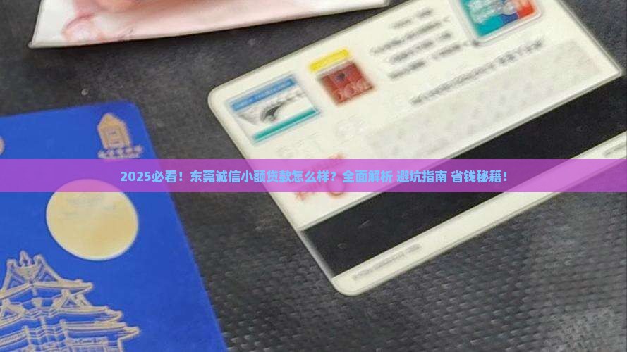 东莞诚信小额贷款怎么样 东莞诚信小额贷款怎么样