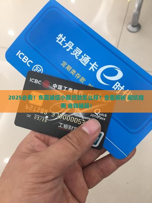 东莞诚信小额贷款怎么样 东莞诚信小额贷款怎么样