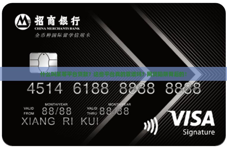 什么叫某等平台贷款