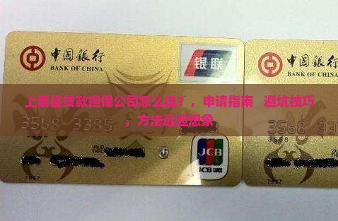 上蔡县贷款担保公司
