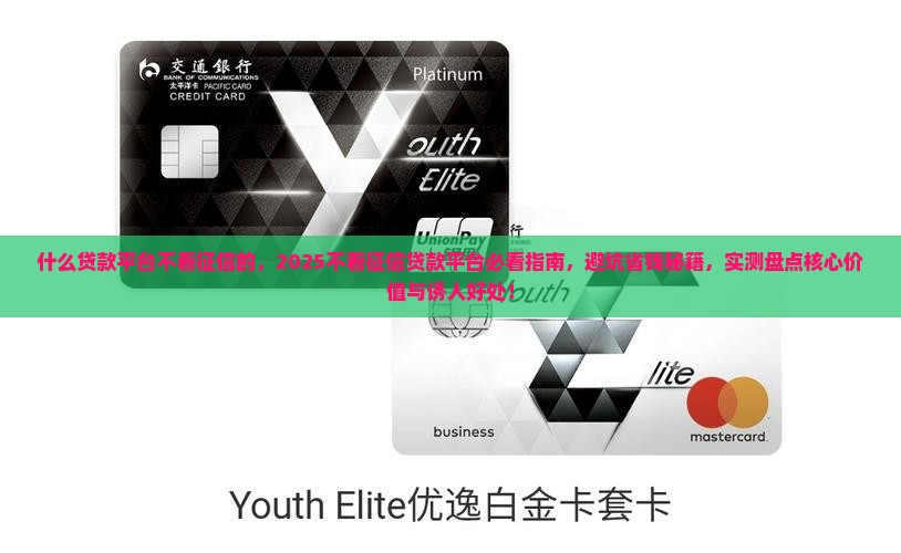 什么贷款平台不看征信的