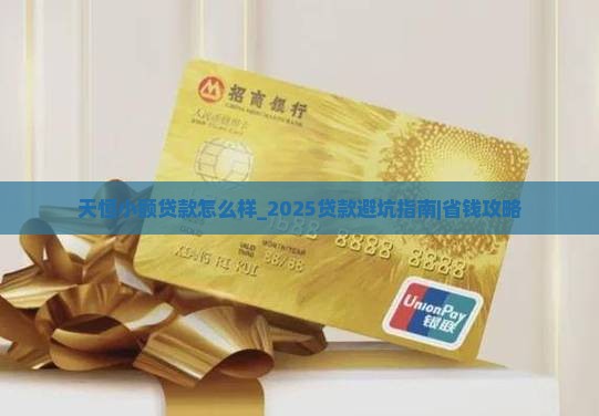天恒小额贷款怎么样