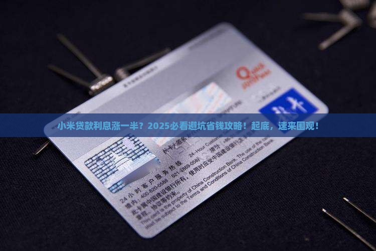 小米贷款利息涨了一半