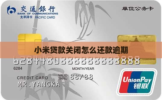 小米贷款关闭怎么还款 小米贷款关闭怎么还款