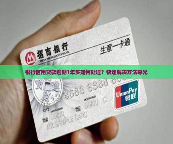 银行信用贷款逾期1年多
