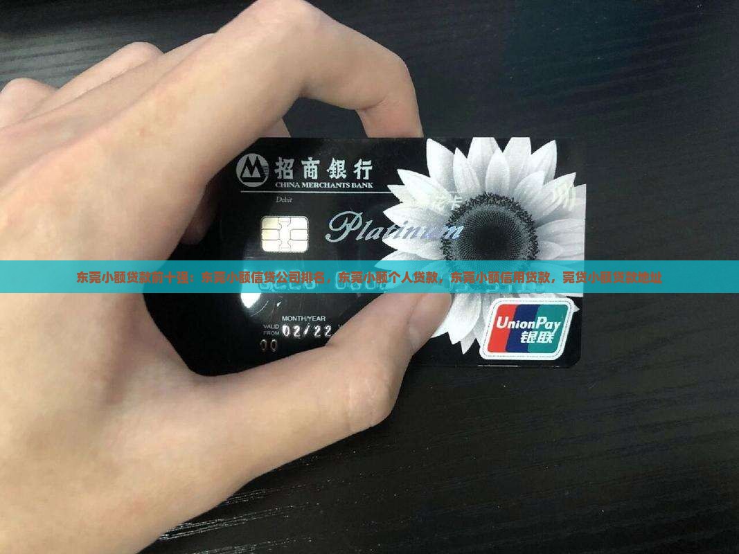 东莞小额贷款前十强
