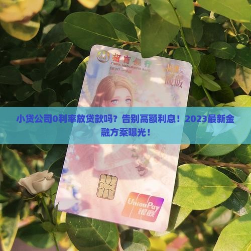 小贷公司0利率放贷款吗