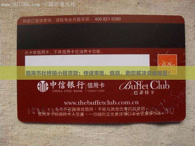 临海市杜桥镇小额贷款