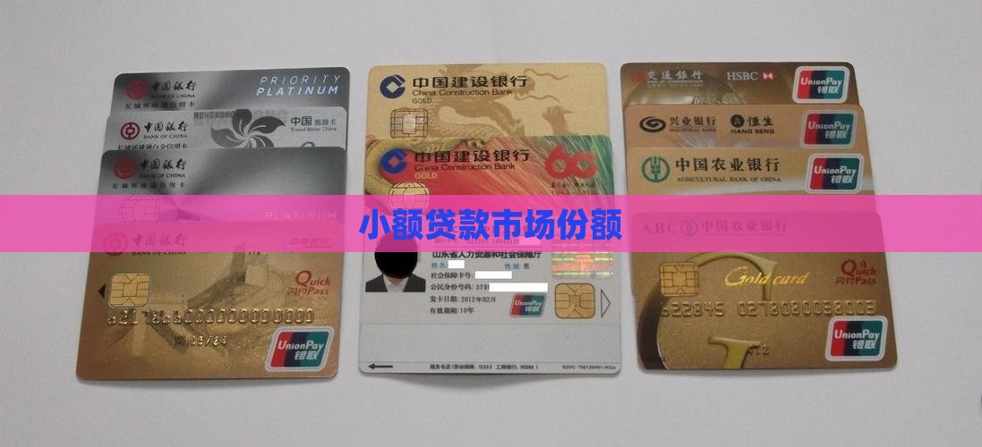 小额贷款份额