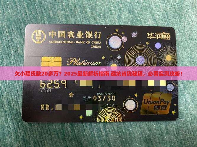欠小额贷款20多万