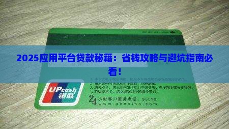 应用平台贷款怎么贷款