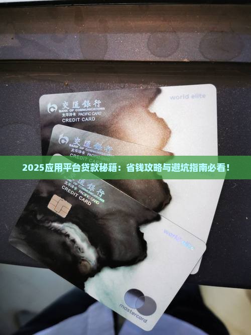 应用平台贷款怎么贷款