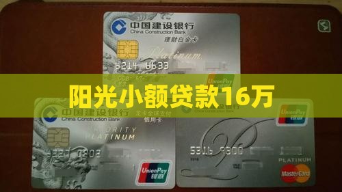 阳光小额贷款16万