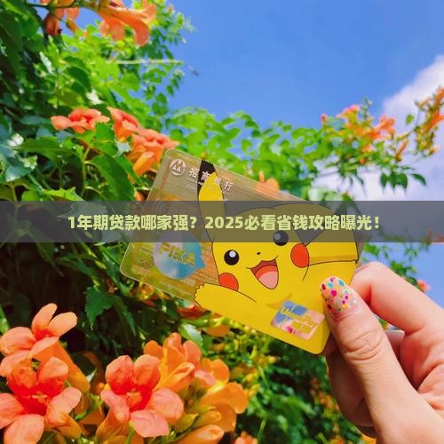 1年期贷款哪个平台划算