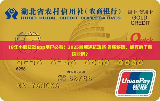 18年小额贷款app
