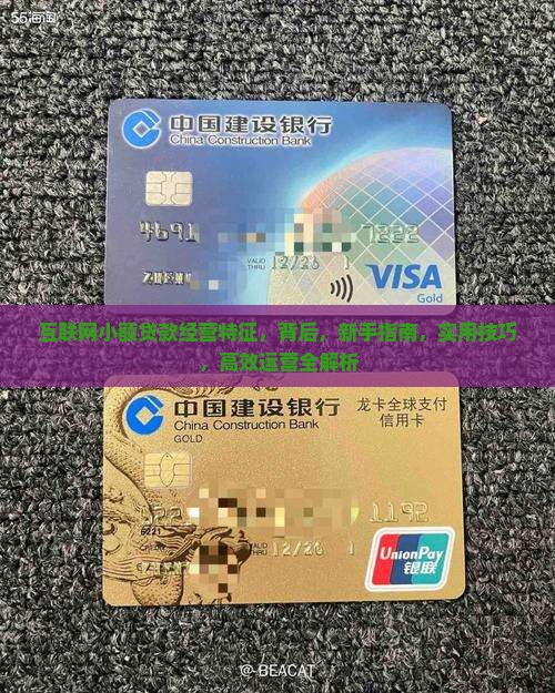 互联网小额贷款经营特征 互联网小额贷款经营特征