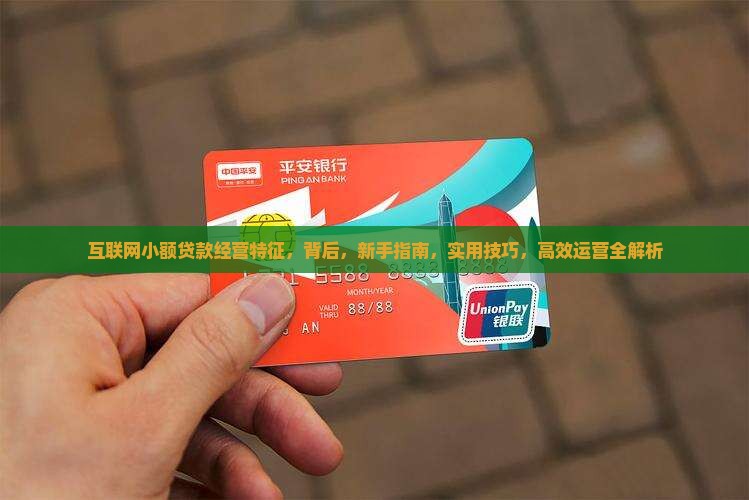 互联网小额贷款经营特征 互联网小额贷款经营特征